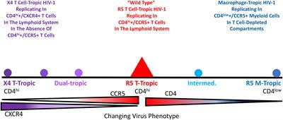 Evolution driven by a varying host environment selects for distinct HIV-1 entry phenotypes and other informative variants